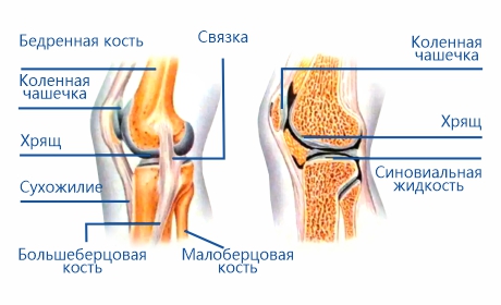 Поврежденини связок коленного сустава, диагностика и тактика лечения
