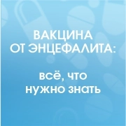 Вакцина от энцефалита: всё, что нужно знать